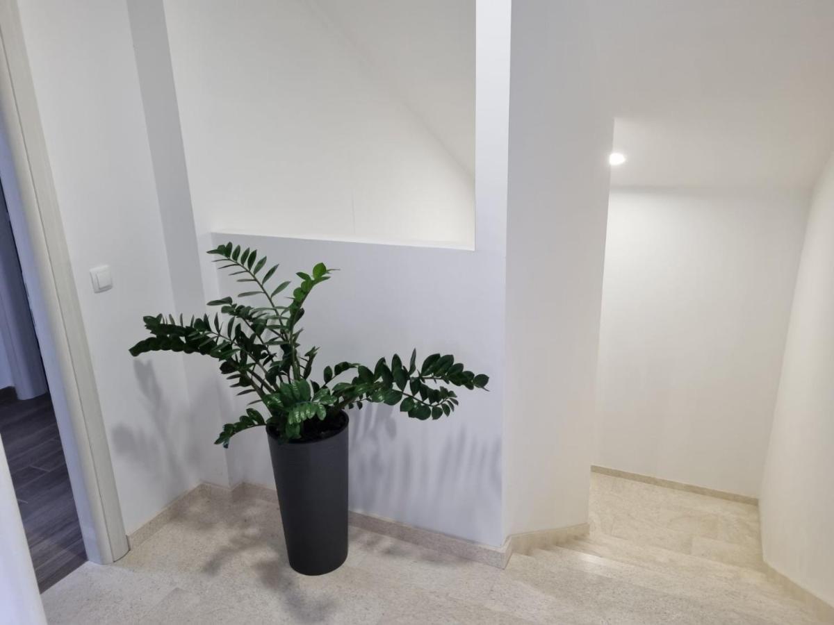 Apartmani Tolj Makarska Buitenkant foto